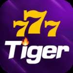 777tiger Champion BR v1.5.5